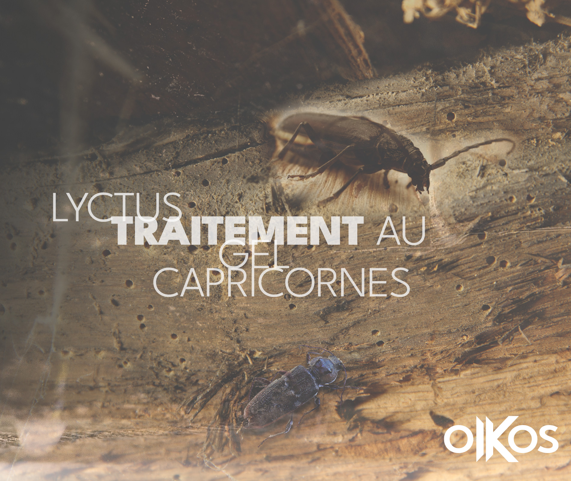 OIKOS TOITURE - TRAITEMENT CHARPENTE